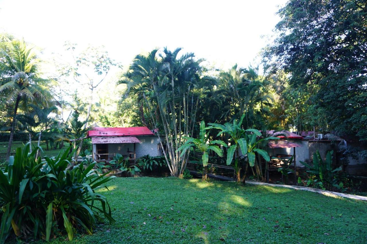 Hotel Cabañas Safari Palenque Exterior foto